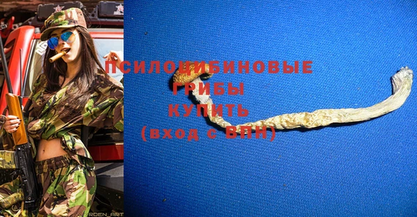 дурь Краснотурьинск
