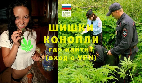 мдпв Коряжма