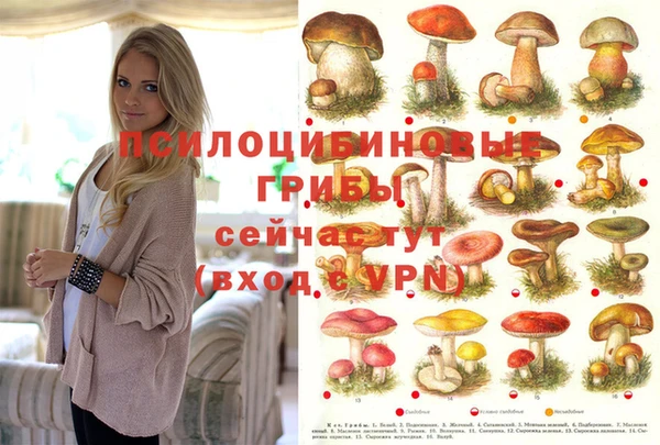 мдпв Коряжма