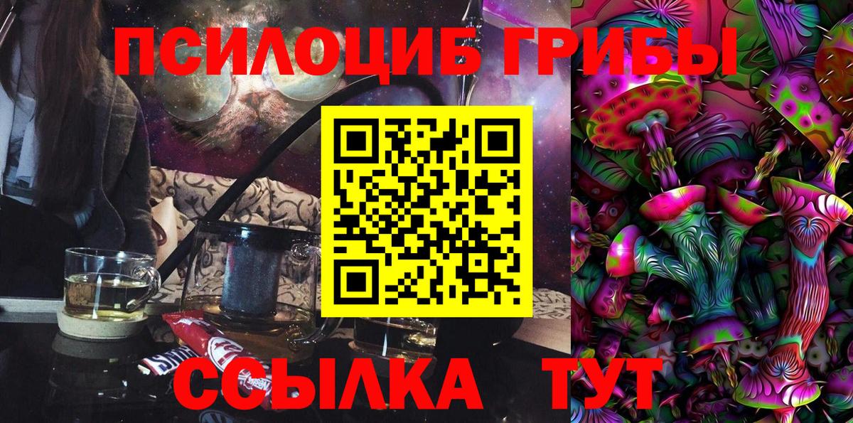 Мелеуз  Галлюциногенные грибы Psilocybe  где найти   Вход с VPN  Галлюциногенные грибы прущие грибы 